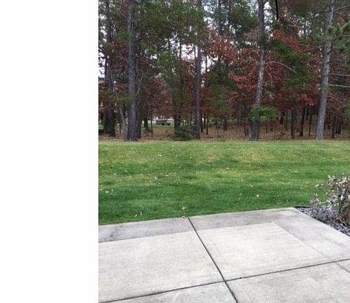 5th image of 12990 Berrywood Dr