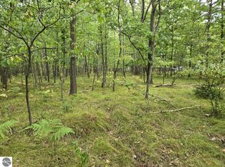 1009 Castle Dr, Weidman, MI 48893