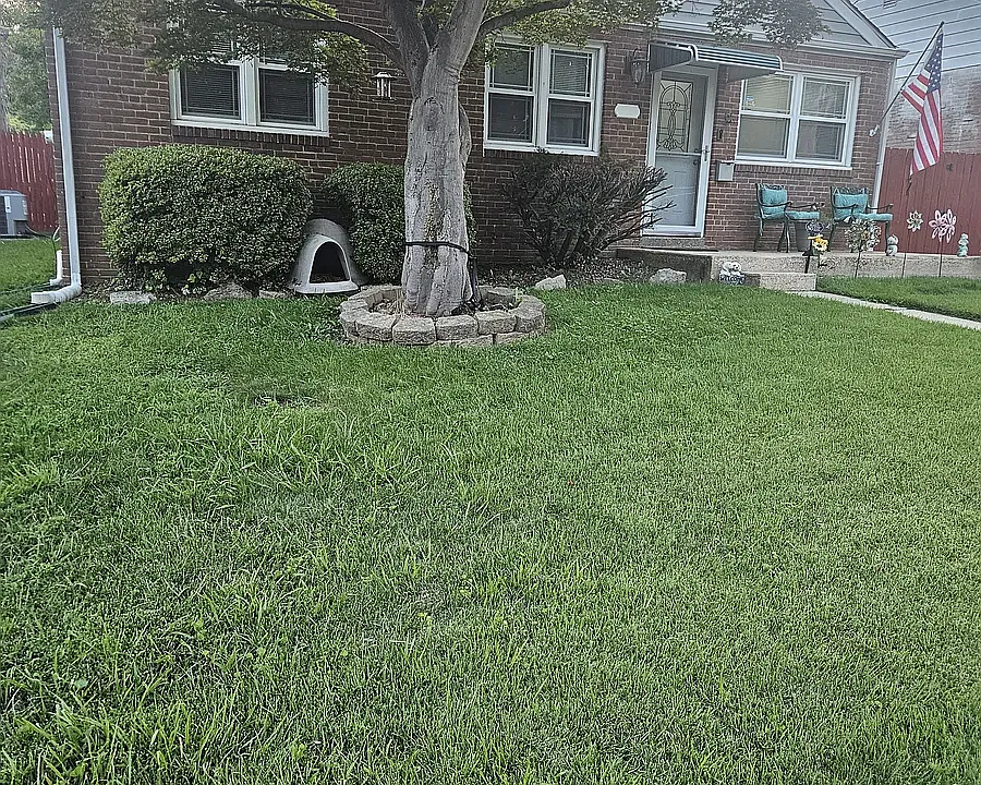 203 Rosemont Dr