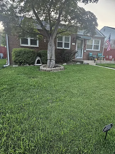 203 Rosemont Dr Photo 1