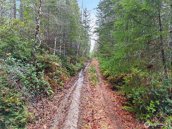 3rd image of 730 NE Black Bear Road