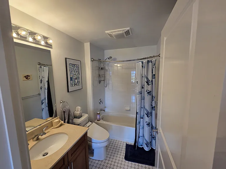 Guest bathroom