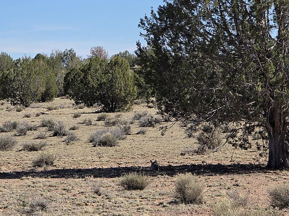 2nd image of LOT 8 N Tanner Rd