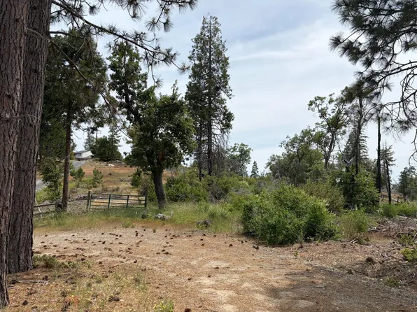 11111 Vista Del Valle Ln, Auberry, CA 93602