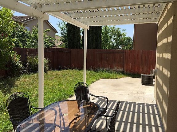 Backyard 1