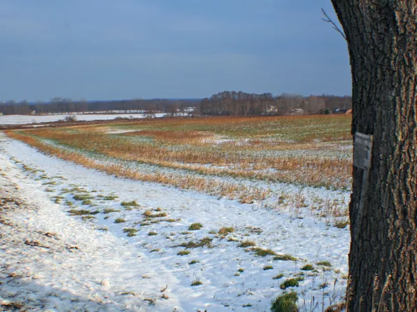 7708 Townline Rd, Bergen, NY 14416