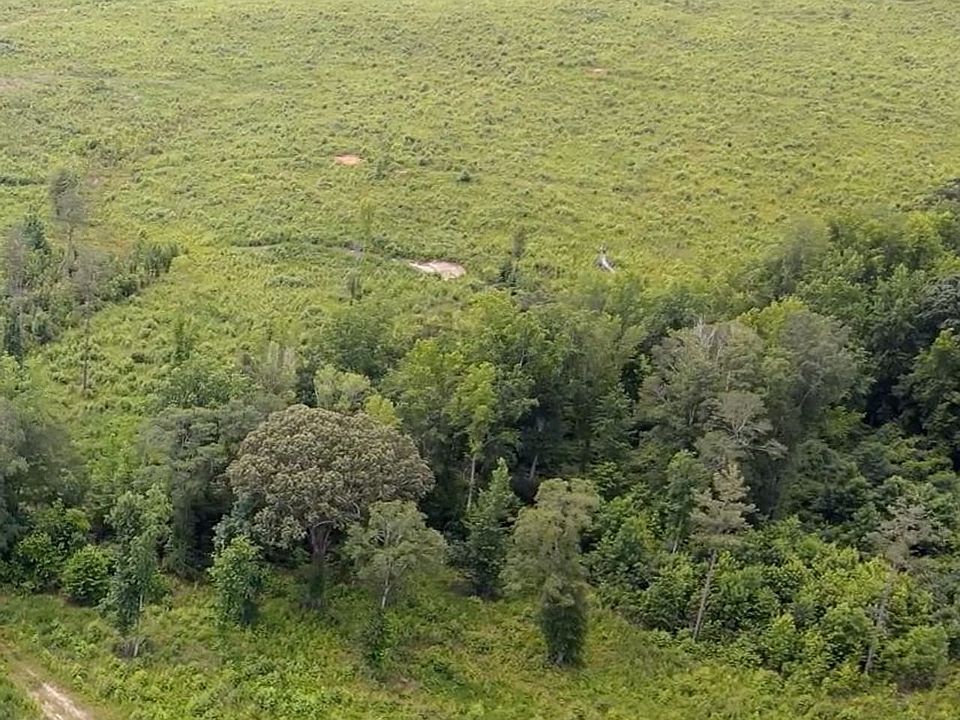 Aerial 4