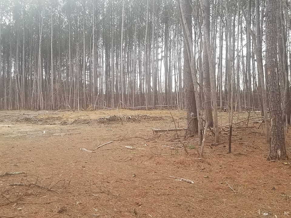 2nd image of 141 Tall Cotton Rd