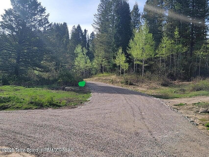 1st image of L39b4 Cutthroat Run