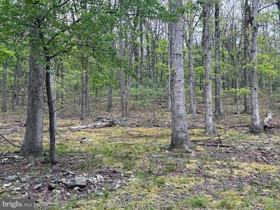 0 Cut Off Rd, Keyser, WV, 26726
