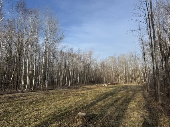 Pioneer Dr, Abrams, WI 54101