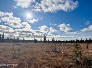 0 Tall Tree Ave, Anchor Pt, AK 99556