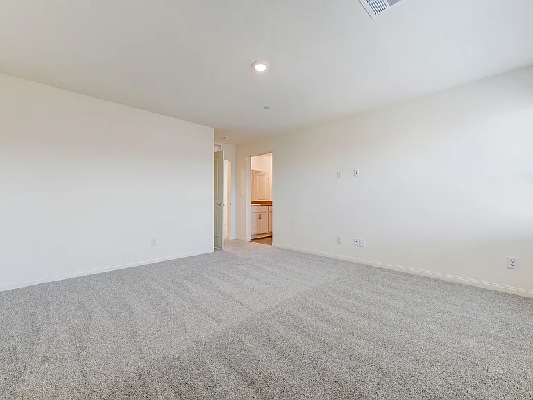 501 Red Lovebird Ave — Photo 32