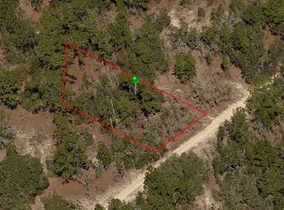 316 S Crestview Ave, Inverness, FL 34452