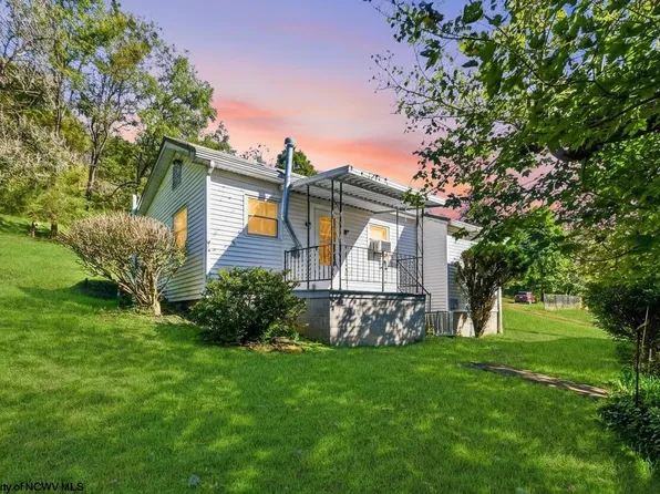 251 Pearl Felton Ln, Grafton, WV 26354
