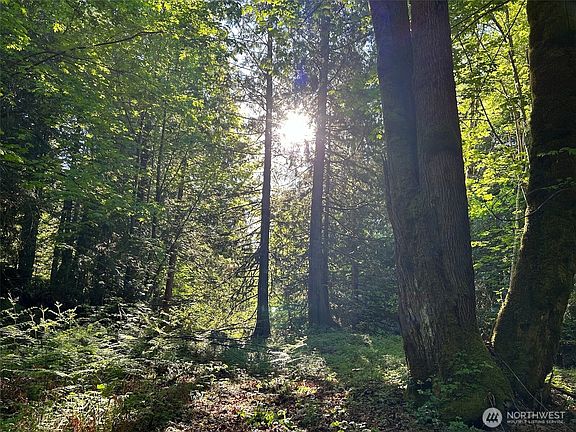 3rd image of 501 N Olympic Trails