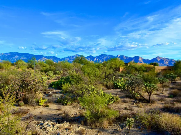 899 W Tortolita Mountain Cir, Oro Valley, AZ 85755