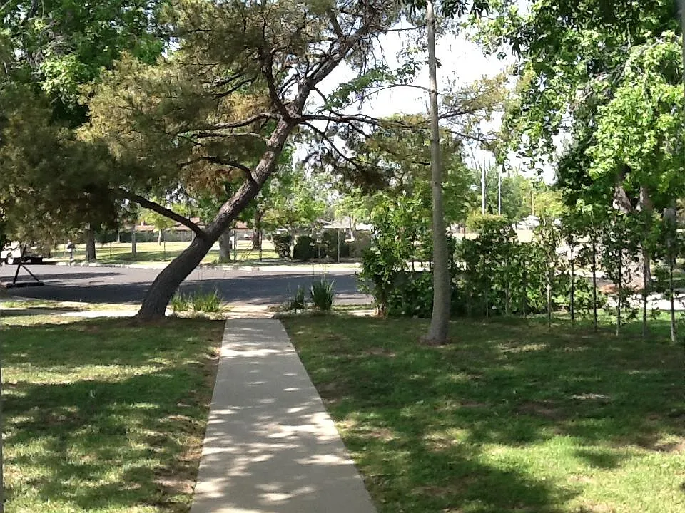 9030 Swinton Avenue — Photo 3