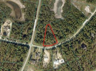 LOT 2 SW 131st Cir LOT 2, Ocala, FL 34481