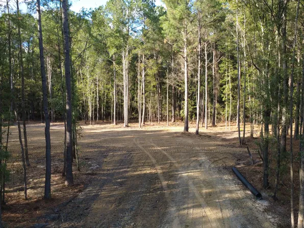 0 Gum Branch & Sweetgum Rd, Saint George, SC 29477