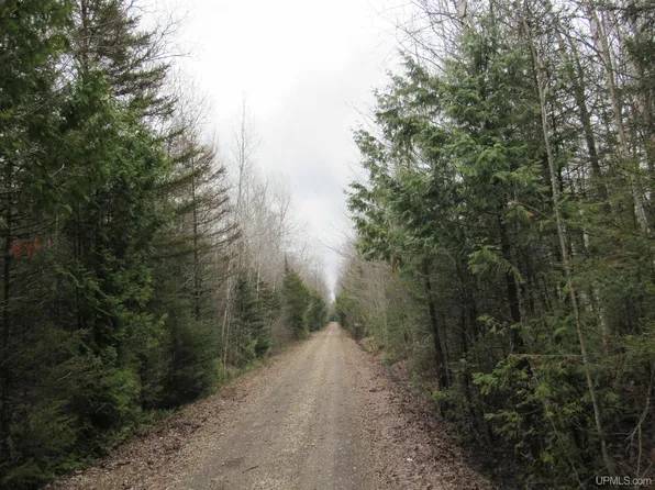 Tbd Deerton Sand Lake Rd, Deerton, MI 49822