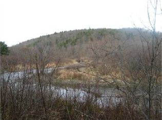 880 W Kill Rd, Jefferson, NY 12093