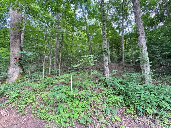 50530 Wargo Rd, Caldwell, OH 43724