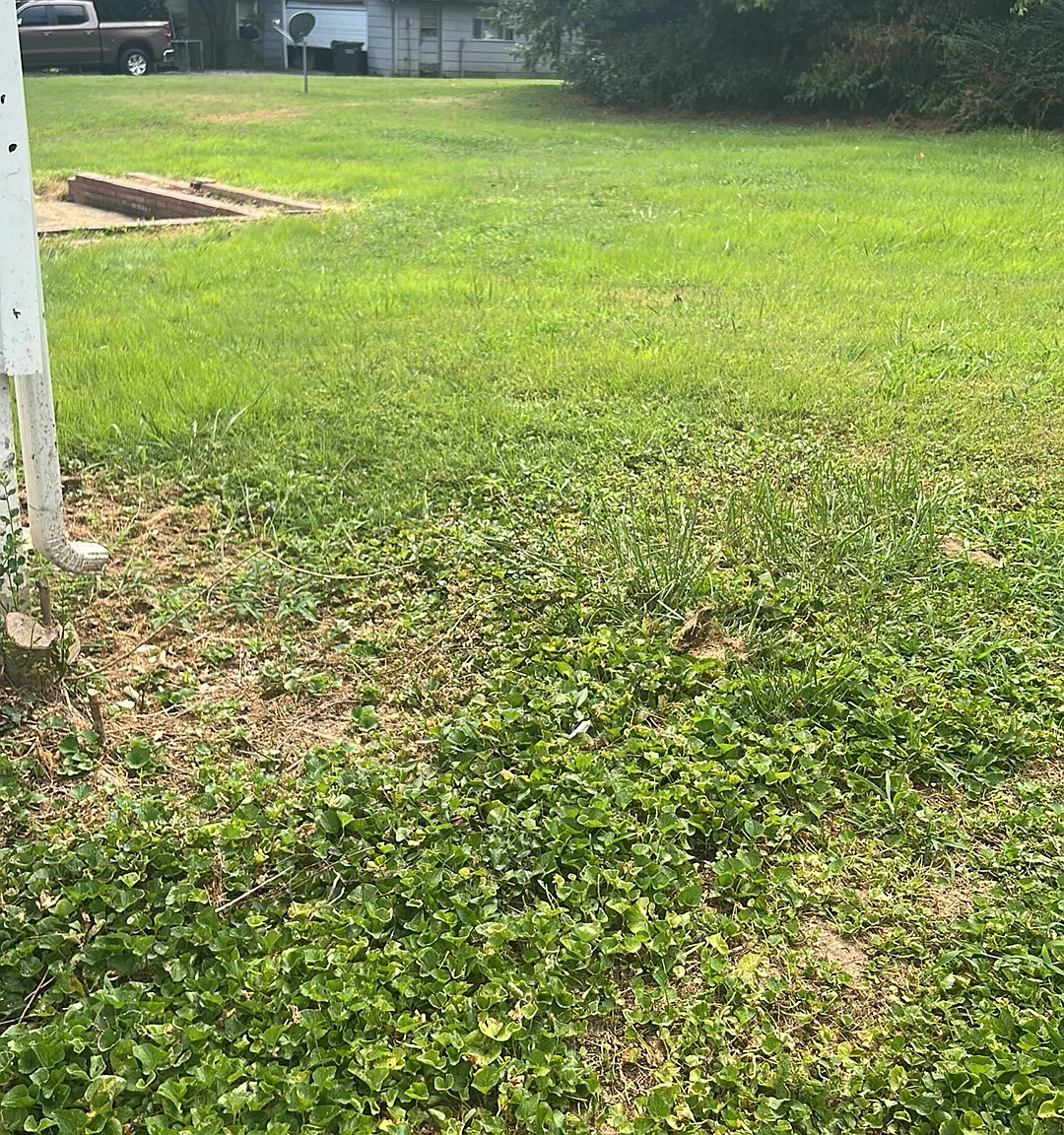 405 Braden St — Photo 3