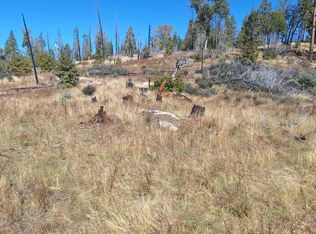 42112 Cedar Springs Rd, Auberry, CA 93602
