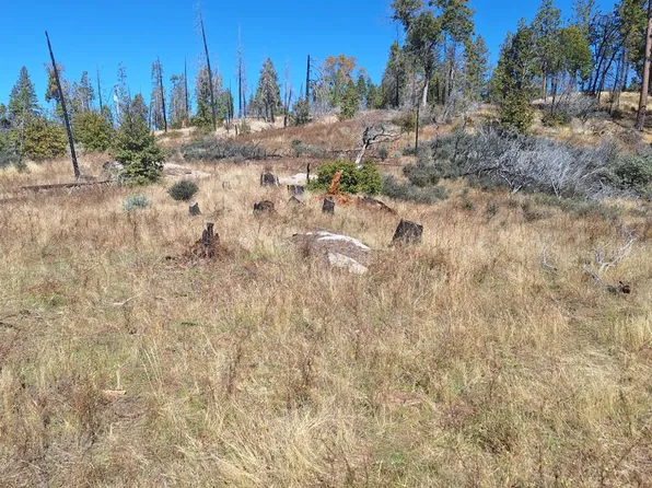 42112 Cedar Springs Rd, Auberry, CA 93602