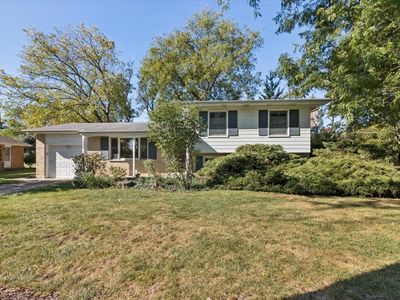 696 N Stephen Dr, Palatine, IL, 60067