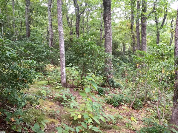 401 Panther Mountain Rd, Zirconia, NC 28790