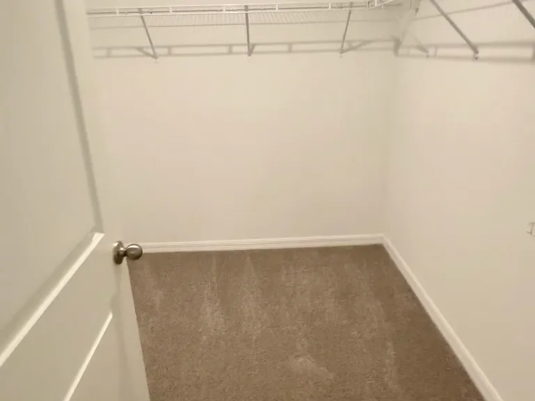 3084 Living Coral St — Photo 15