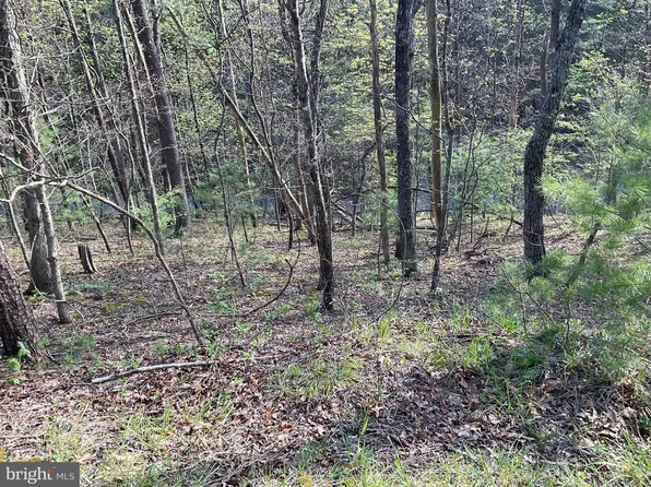 Johnston St, Basye, VA 22810