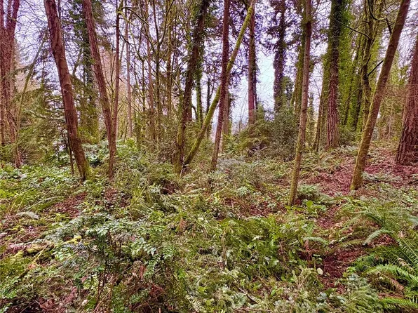 0 SW 230th Street, Vashon, WA 98070