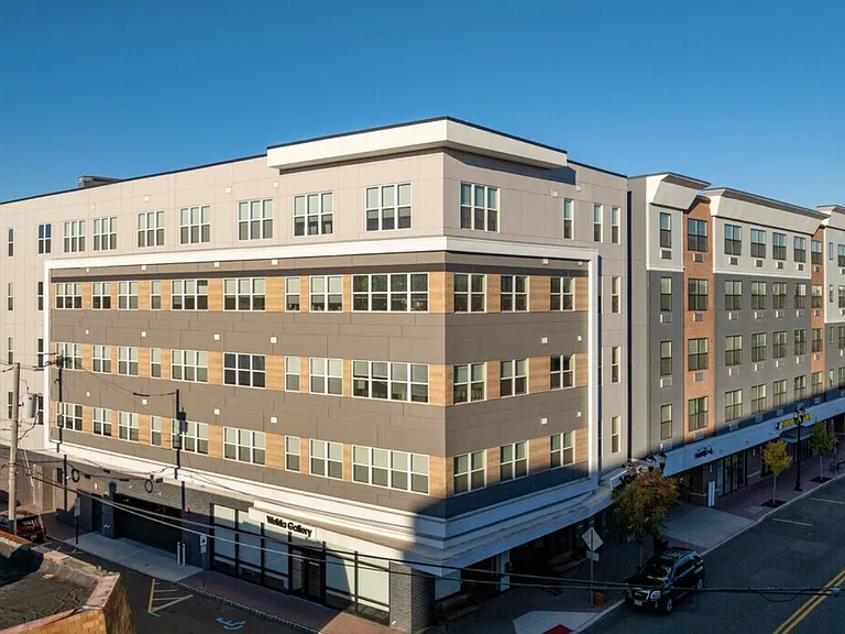 Vibe — Photo 12