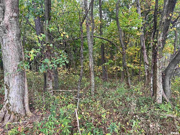 5th image of Rr County Rd #845-E