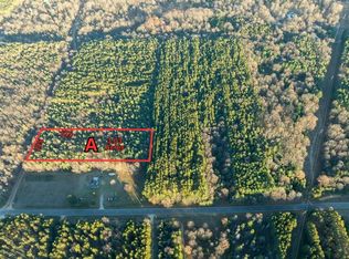 PARCEL W Scout Rd #A, Mears, MI 49436