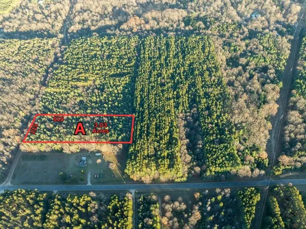 PARCEL W Scout Rd #A, Mears, MI 49436