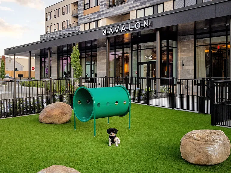 Pet-friendly community with WAG pet park