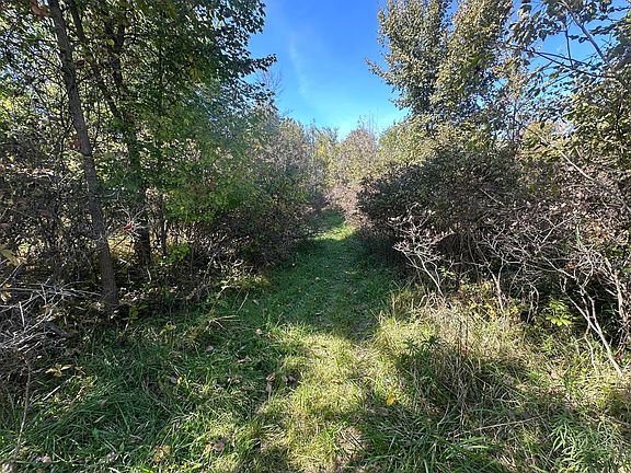 5th image of Vl 20 Mile Rd
