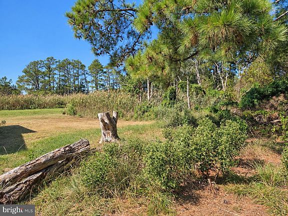 2nd image of 2802 Tedious Creek Rd