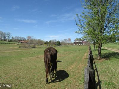 19065 Cottage Hill Ln, Jeffersonton, VA, 22724