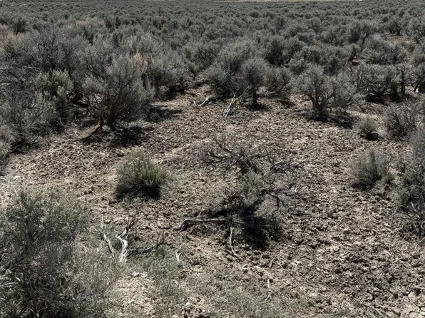 Beauregard Ave, Spring Creek, NV 89815