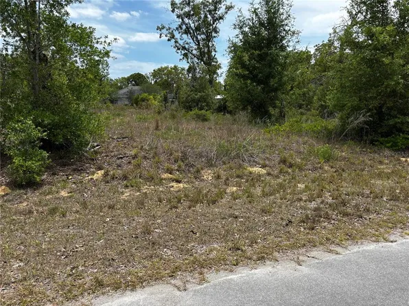 Malauka Loop #7, Ocklawaha, FL 32179