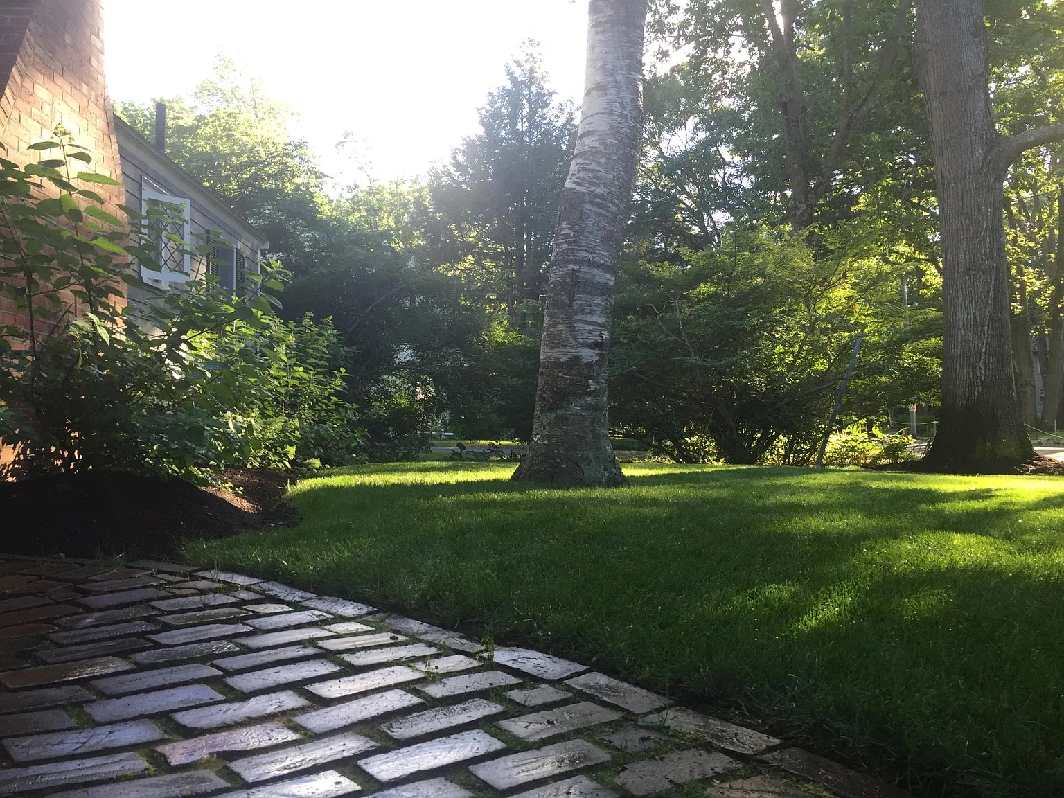 3 bed, 1350 sqft, $4,100 — Photo 3