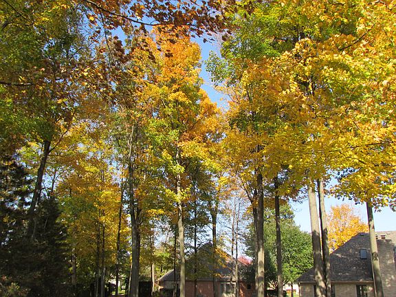 5th image of 48274 Red Oak Dr