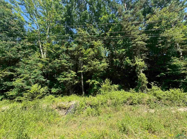 1968 Fm, Harleton, TX 75651