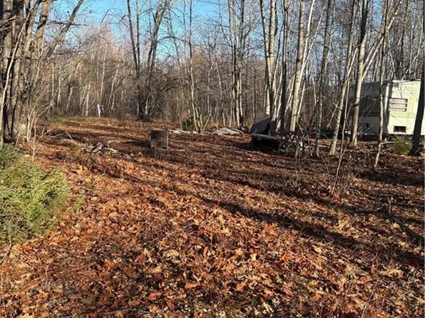 670 Back Rd, Canning, NB E4B 1V3