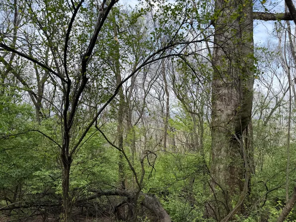 6583 Fairview Rd, Hixson, TN 37343